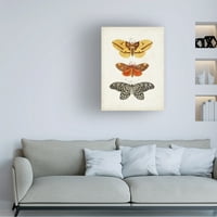 Визија студио „Гроздобер пеперутки iv“ платно уметност
