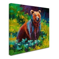 Трговска марка ликовна уметност „Wildflower Grizz“ Canvas Art by Marion Rose