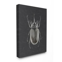 Tupleple Industries Hopned Beetle Black Clack Conflaction Minimal Bug Insect Art Canvas Wallидна уметност Дизајн на Ziwei Li,