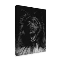 Трговска марка ликовна уметност „кучешки гребење ix“ платно уметност од ieули Т. Чепмен