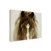 Лиза драга „Дух коњ“ платно уметност