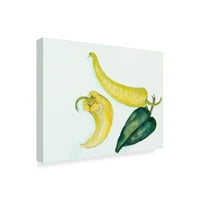 Трговска марка ликовна уметност „пиперки топла и кул“ платно уметност од anоан Портер