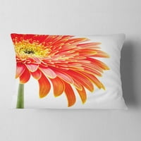 DesignArt портокалова гербера на бела позадина - перница за цвеќиња за фрлање - 12x20