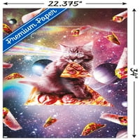 Џејмс Букер-Вселенски Пица Мачка Ѕид Постер, 22.375 34