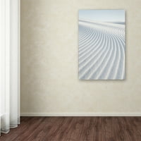 Трговска марка ликовна уметност „Бели песоци Јас немам граница“ уметност од Алан Мајхрович