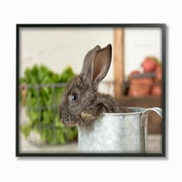 Декор за домашна куќа кафеава зајаче во галванизирана корпа фарма фотографија, врамена текстурална уметност