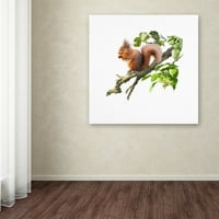 Трговска марка ликовна уметност „Црвена верверица“ платно уметност од студиото МекНил