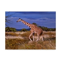 Трговска марка ликовна уметност „ретикулирана жирафа“ платно уметност од Пип Мекгари