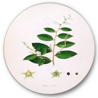 Дизајн на „Антички растителен живот XVI“, Круг, метална wallидна уметност - диск од 23