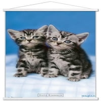 Кит Кимберлин - Мачиња - Близнаци Ѕид Постер Со Дрвена Магнетна Рамка, 22.375 34