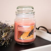 Секојдневно бегство од папаја манго миризлива тегла свеќа, миризливи свеќи со миризливи вредности со ароматичен мирис и врвен