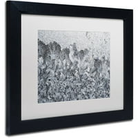 Трговска марка ликовна уметност мраз мозаик 2 платно уметност од Курт Шафер Бела мат, црна рамка
