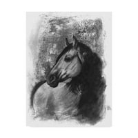 Трговска марка ликовна уметност 'јаглен портрет на коњички iv' платно уметност од Наоми Мекавитт