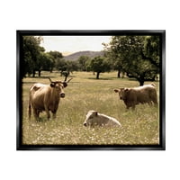 СТУПЕЛ ИНДУСТРИИ Три говеда кои се релаксираат од пасиштата на пасиштата рурални фарми Фотографија etет Црно лебдечко платно