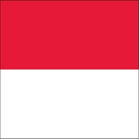 Индонезија 2' 3 ' Внатрешно Полиестерско Знаме