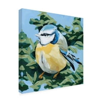 Ема Скарви „сликарска птица II“ платно уметност