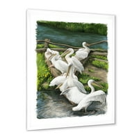 Дизајн на „Пеликанците“ кои се потпираат во близина на реката Вода 'Традиционално врамен уметнички принт