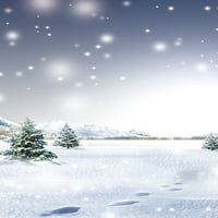 GreenDecor Полистер 5x7ft Зимска Сцена Фотографија Позадини Ѕвезденото Небо Снег Сцена Позадина За Фотографирање Позадина Реквизити