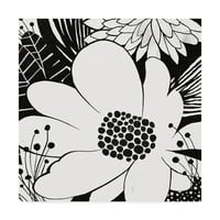 Трговска марка ликовна уметност „Чувство на црно -бело“ црно -бело „платно уметност од Мајкл Мулан
