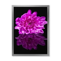 DesignArt 'Едно пурпурна хризантема цвет на црна рефлексија' Традиционално врамен уметнички принт